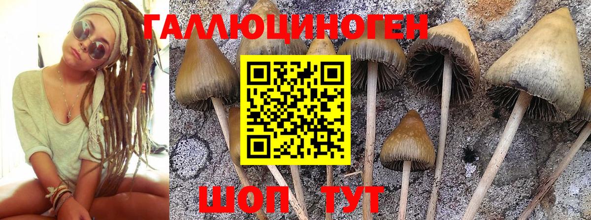 Псилоцибиновые грибы Magic Shrooms Бахчисарай